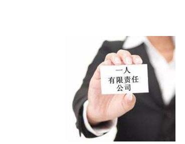 一人有限公司,獨資企業(yè)