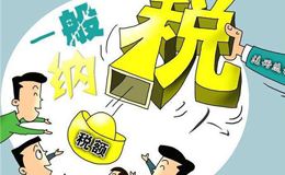 申请一般纳税人的好处
