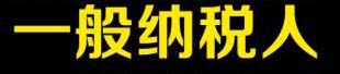 一般纳税人申办