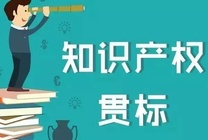 申请知识产权贯标流程是什么  贯标有什么好处